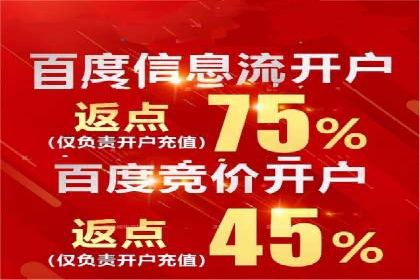 企业营销新策略：百度包年竞价案例分析